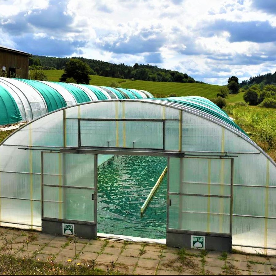 Die nachhaltige Kultivierung von Spirulina Algen in Deutschland Hessen